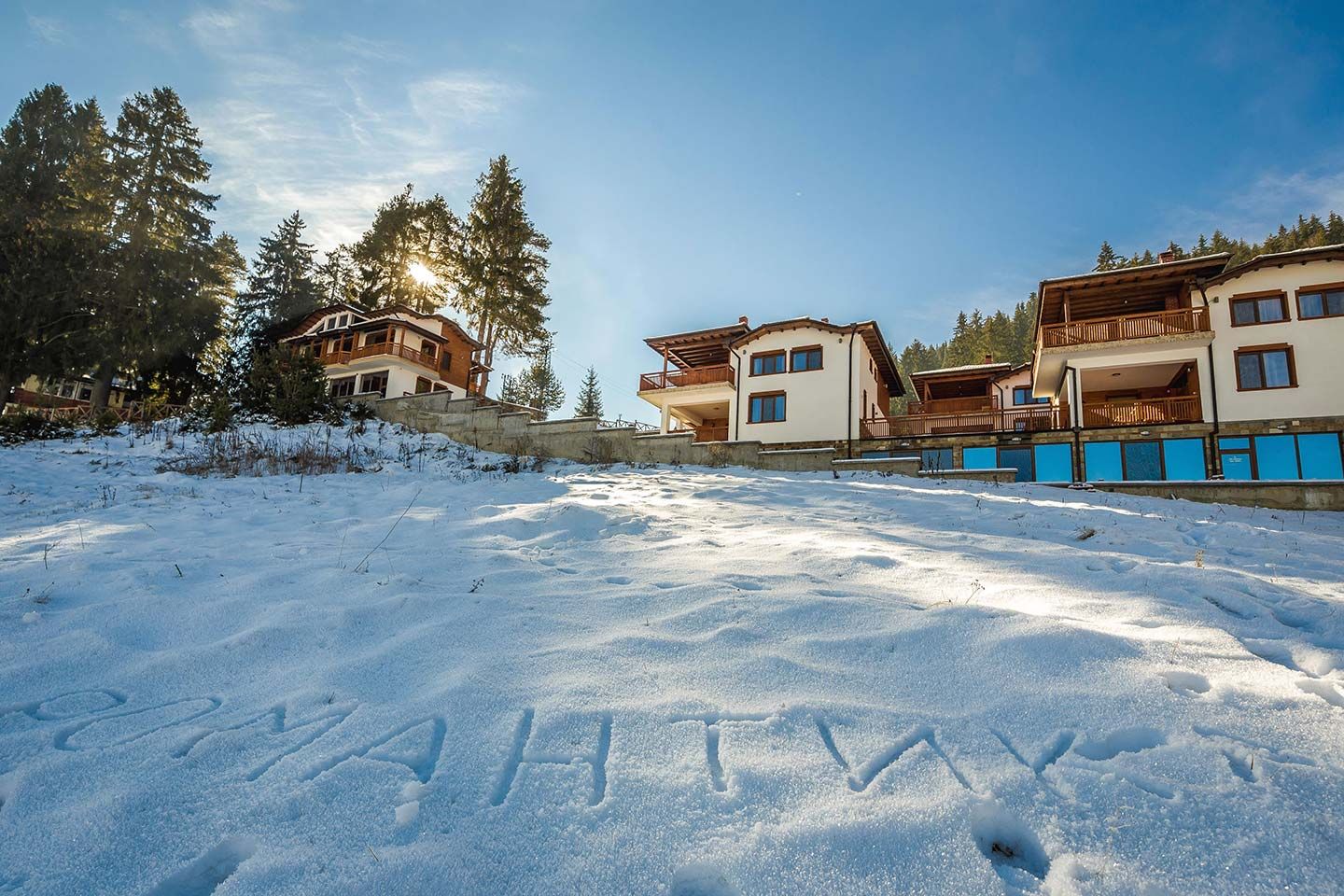 Вилите в снега
